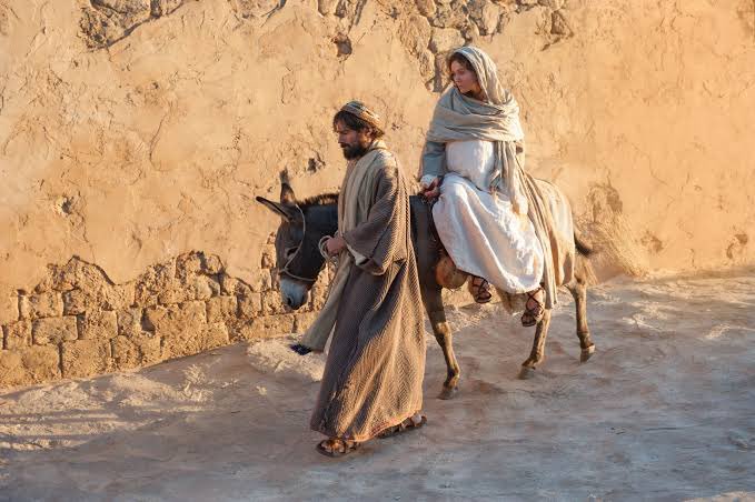 aydooth's tweet photo. If my calculations are right, Joseph and Mary are already on their way to Bethlehem …….🚶🏽‍♂️🐪 https://t.co/nqcSNAeXar