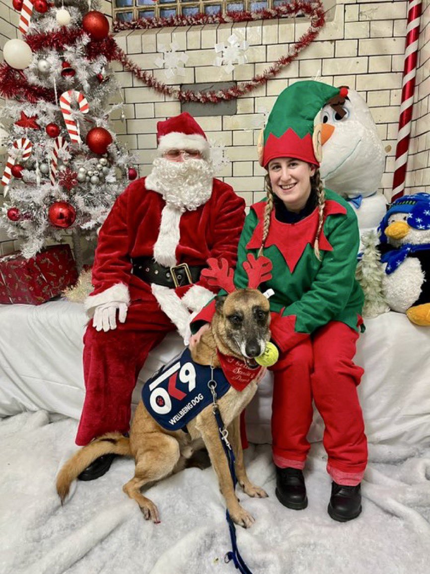 OscarKiloNine's tweet photo. @OscarKiloUK OK9 Wellbeing Dog Carter was very pleased to meet Santa at Roath Police Station Community Christmas Event in Cardiff. 🎅🏼🎅🏼🎅🏼 he is sure he is not on the naughty list because his mum says he is a ‘good boy!’ 😊💙🎄👍🐾 https://t.co/J5FKPZa5Fb