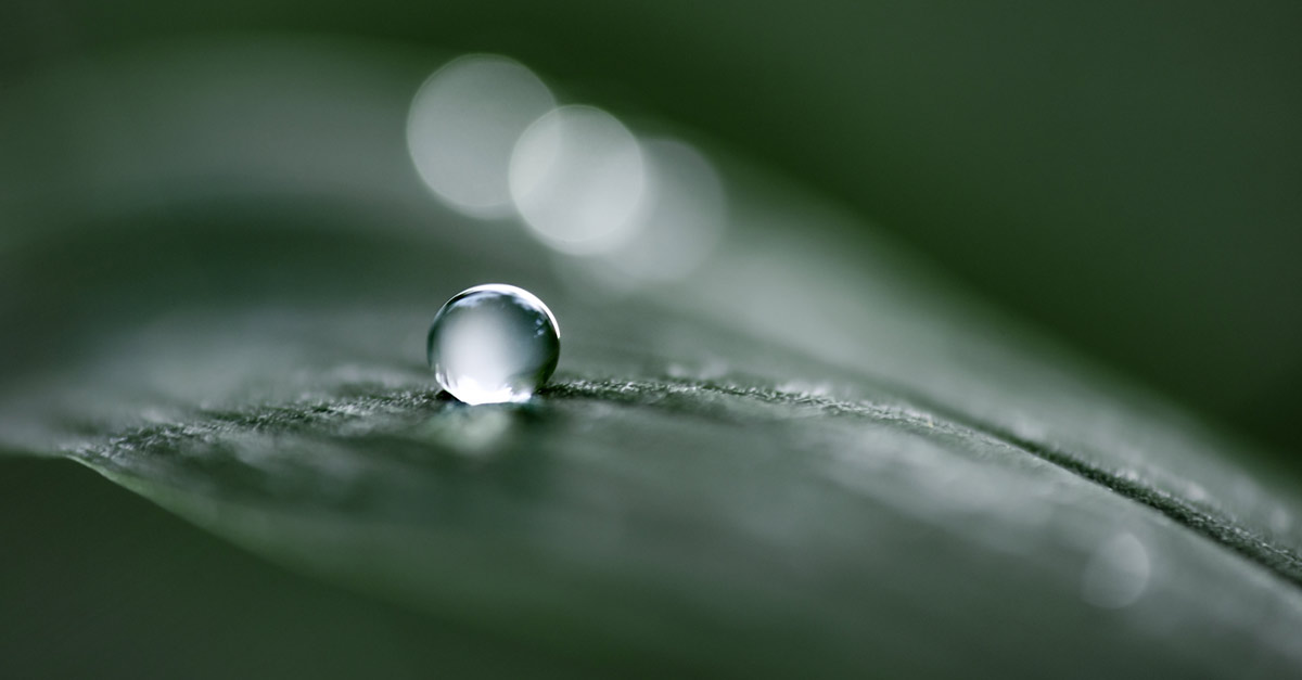 PineBridge's tweet image. All-in yields look attractive for #leveragedloans and #highyield #bonds, and we no longer favor broad risk-on shifts down the #CLO capital stack. Learn how we’re positioning in leveraged finance against a supportive backdrop headed into 2025. pinebridge.com/en/insights/le… #investing