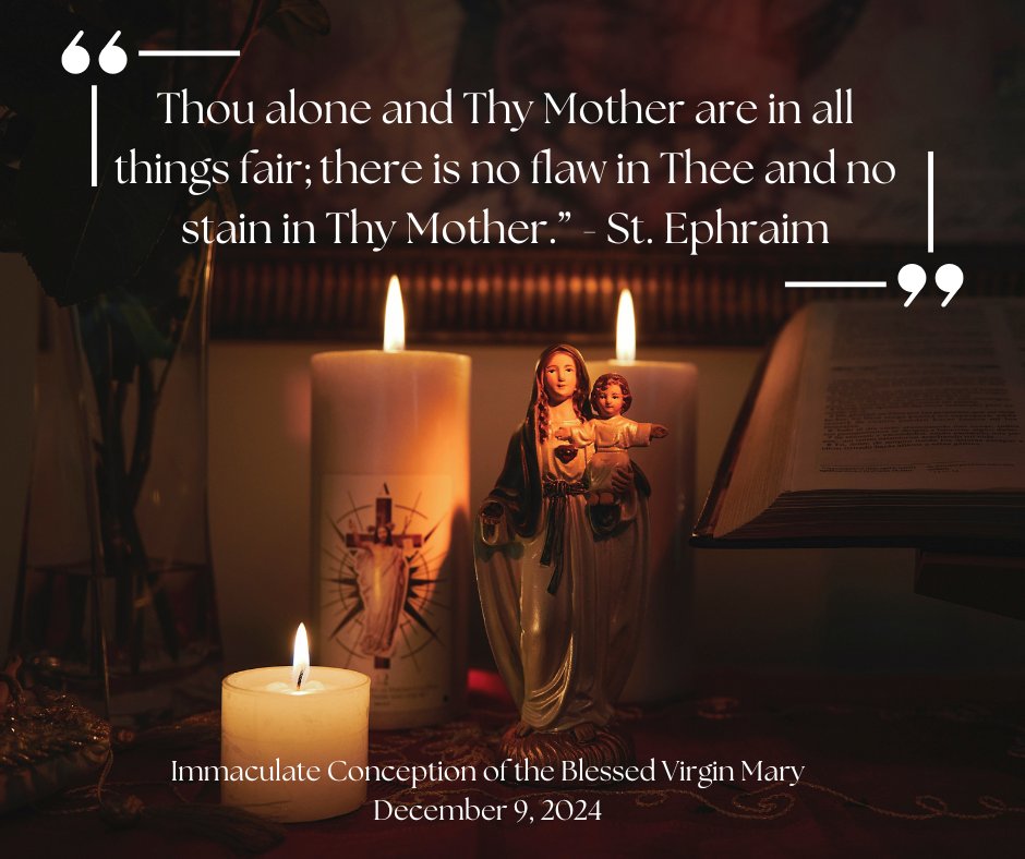 Today is the memorial of the Immaculate Conception of the Blessed Virgin Mary...the patronal feast of the Marianist Sisters, the Daughters of Mary Immaculate and it was on this day in 1800 that the first men approached Blessed Chaminade to form the first Marianist Sodality.