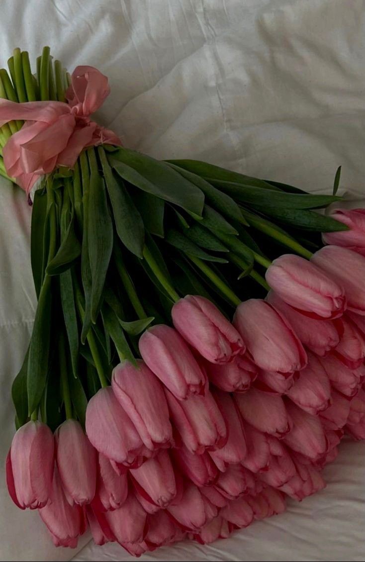 Pink tulips
