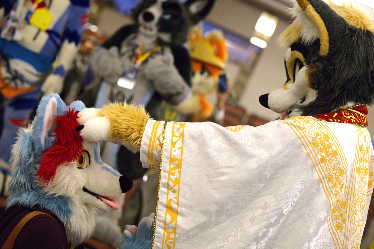 LeagueGen's tweet image. Bless Me... UwU 🌟
 @Matches_uwu
 @NSwoofer 
📷by @JerryNegson 
#Furum2024 @FURUM_MY #fursuiter