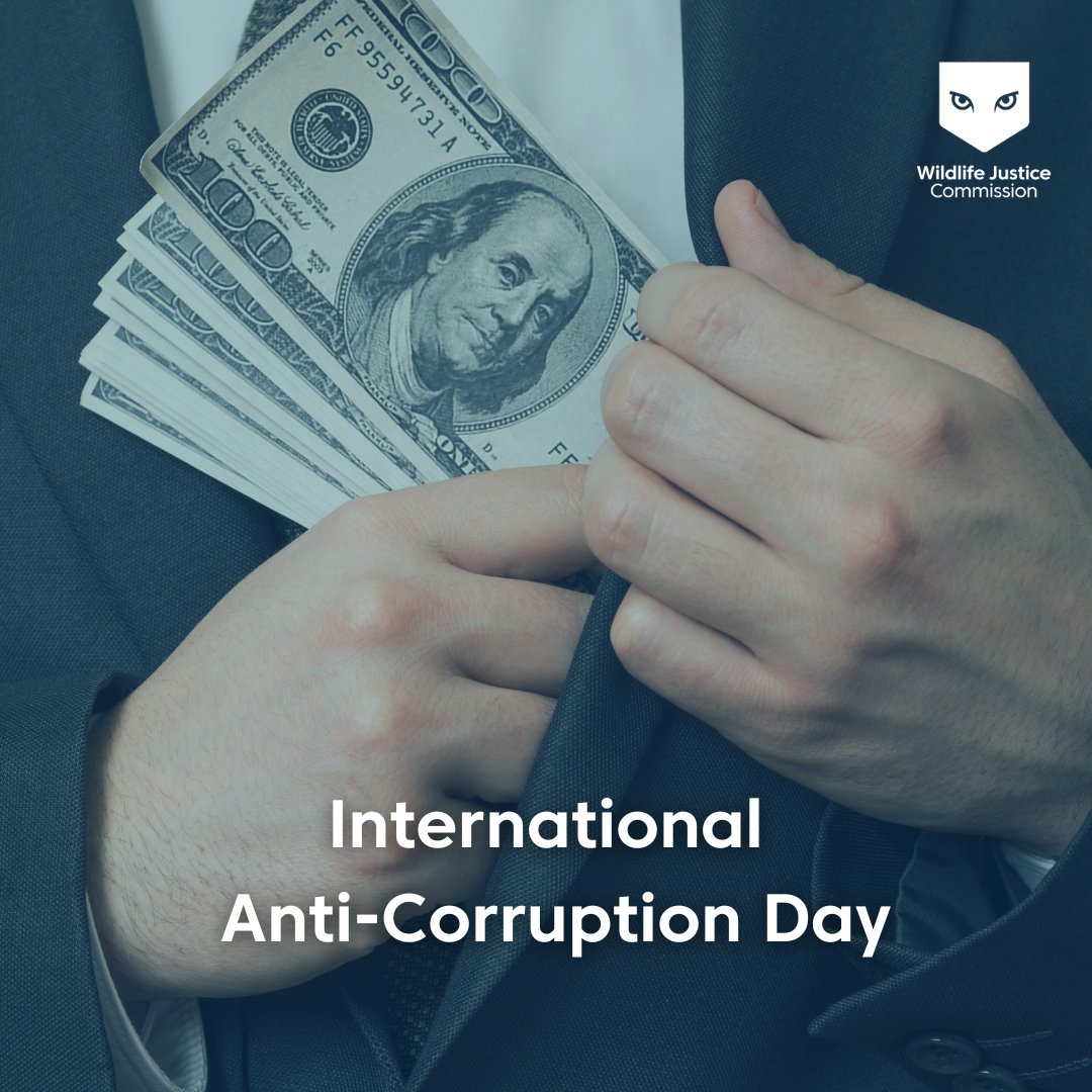 Wildlife Justice Commission tweet media