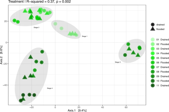 New paper out! 

<a href="/MartinsGL_/">Guilherme Lucio Martins</a> <a href="/agro_guto/">Gabriel G. Monteiro</a> <a href="/RoeschLuiz/">Luiz Roesch</a> 

Bacterial Resilience and Community Shifts Under 11 Draining-Flooding Cycles in Rice Soils | Microbial Ecology (springer.com)