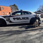 Photo by Carrboro PD (@CarrboroPD)