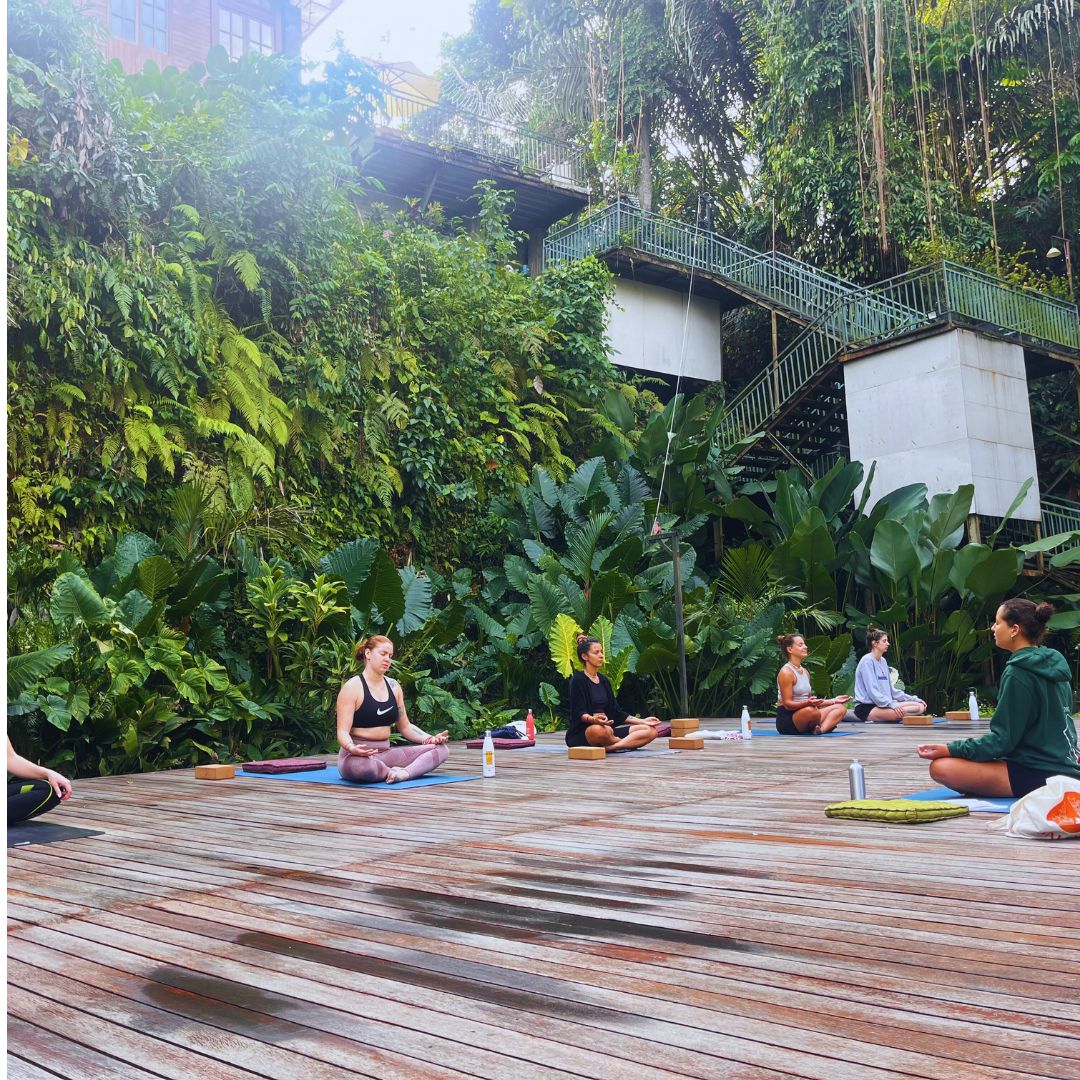 Baliyttc's tweet photo. ✨ Bali Yoga Teacher Training Center ✨
We are excited to announce an exclusive 10% Discount on our all Upcoming Yoga Teacher Trainings! 🌟

📅 Offer valid until December 31st!
 Visit us: https://t.co/4IXJj4XvCL
#baliyttc #ytt #yogateachertraining #bali #ubud https://t.co/92JhJhaajV