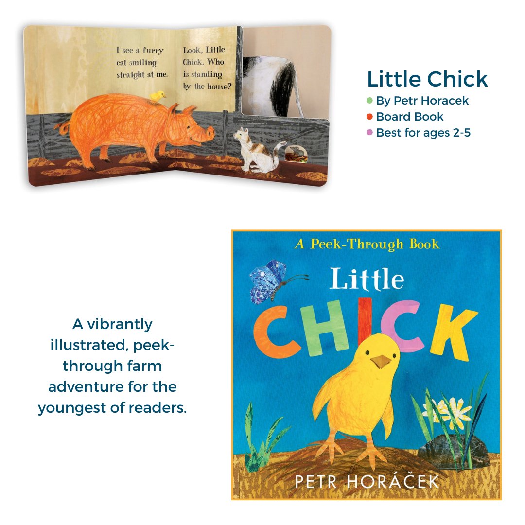 Candlewick's tweet image. Coming to you this week from Candlewick Press! 📚🤩
1- When the Stammer Came to Stay - By Maggie O'Farrell and illustrated by Daniela Jaglenka Terrazzini
2- Little Chick - By Petr Horacek
3- Bunnies on the Bus - By Philip Ardagh and Ben Mantle
4- Little Bunny - By Petr Horacek