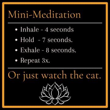 jacobdmundell's tweet photo. Here’s 15 seconds of Zen to help you take on your Monday.
I hope you are well, you deserve it.
#CatZen #ZenCat #Cat #Cats #Zen #Mondays #Meditate #Calm #Relax #Breath #BreathingExercise https://t.co/T5Vl6XM2ZN