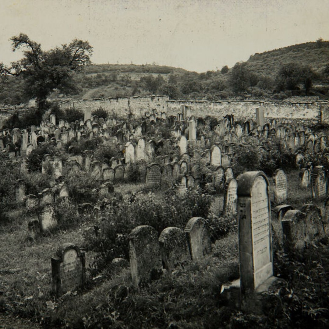 flowchartfoundation tweet media