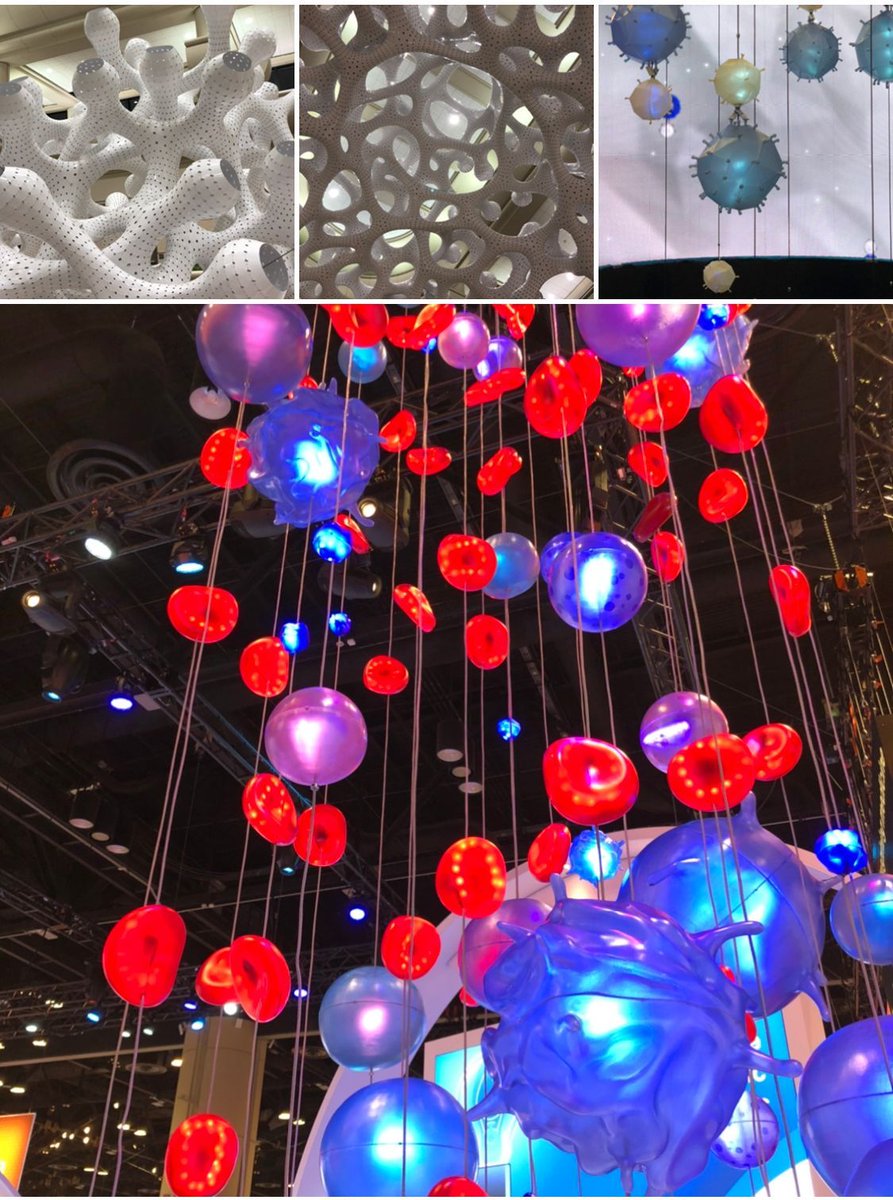 feldstej's tweet photo. #ASH24 #ASHThrowback #ASH19 https://t.co/j1ZSwud6rF