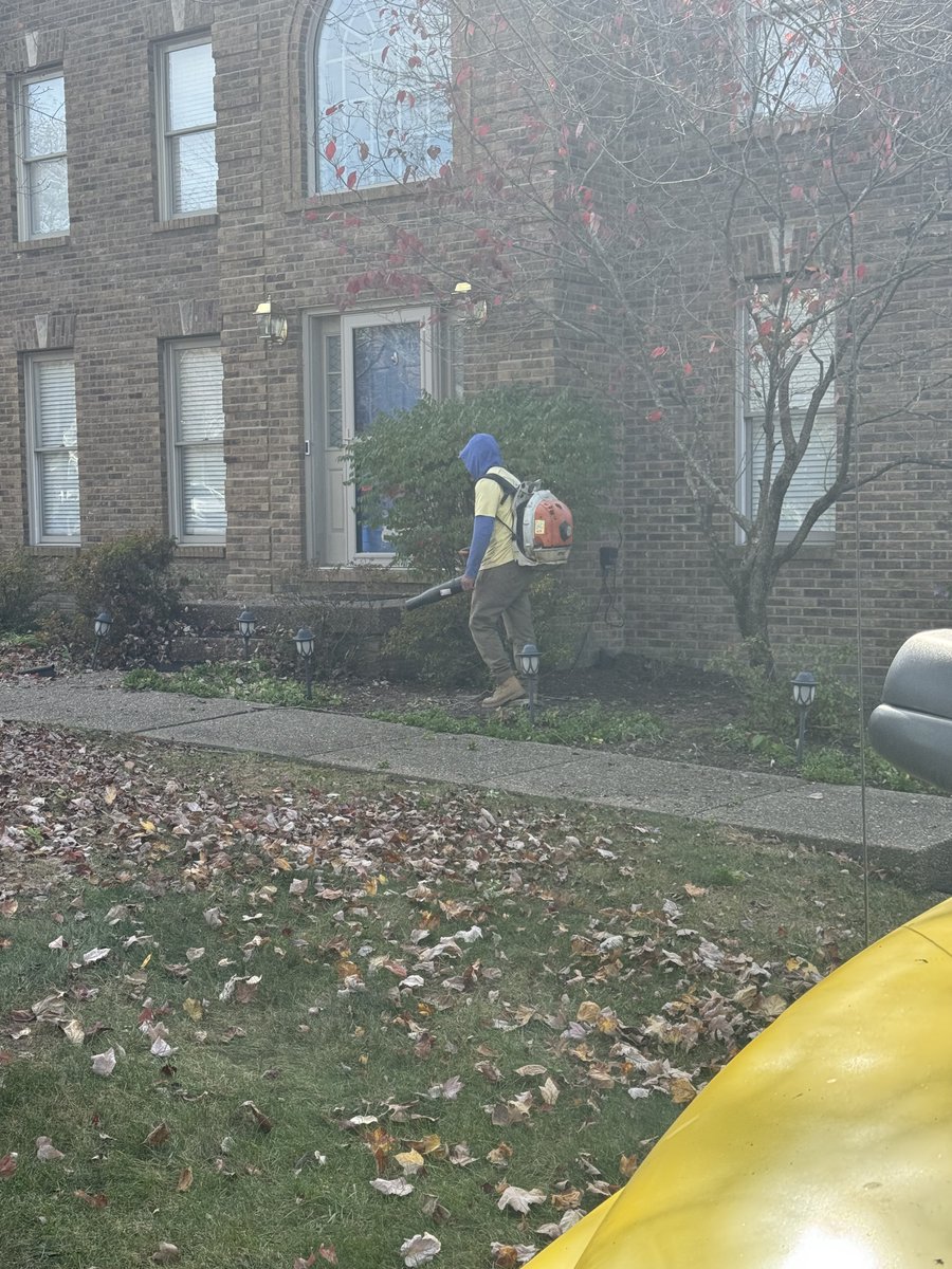 diversifiedKY's tweet image. 🍂 Get your yard winter-ready with our top-notch fall lawn services! 🍁 From leaf cleanup to lawn maintenance, we've got you covered. Central Kentucky homeowners, let's spruce up your outdoor space together! #FallYardPrep #LawnCareMagic