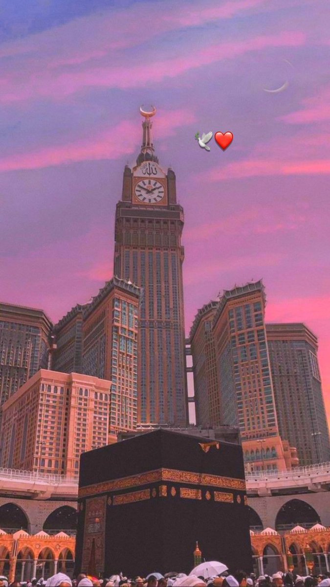Assalam O Alaikum 🩵 🌸 
Allah alone I'd sufficient for us 

Stay connected X creators 🤍