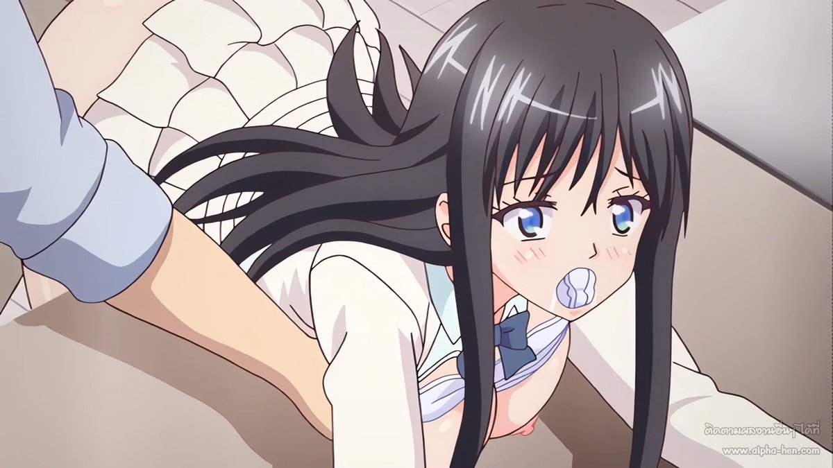 ดู H-Anime ดูAV ดูอนิเมะโป๊ อ่านโดจิน18+ ซับไทย tweet media