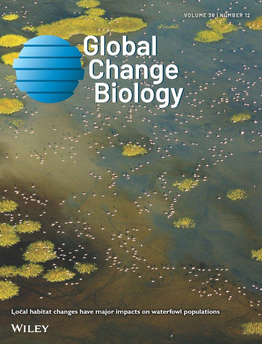 GlobalChangeBio's tweet image. Have you read our December issue? Check out the latest in #globalchange here: buff.ly/4iGqzaf

📷  Pink flamingos during an aerial bird count in Doñana National Park, Spain (see buff.ly/3Zrii0W). Photo from @ebdonana 
@OxyuranusHXC
