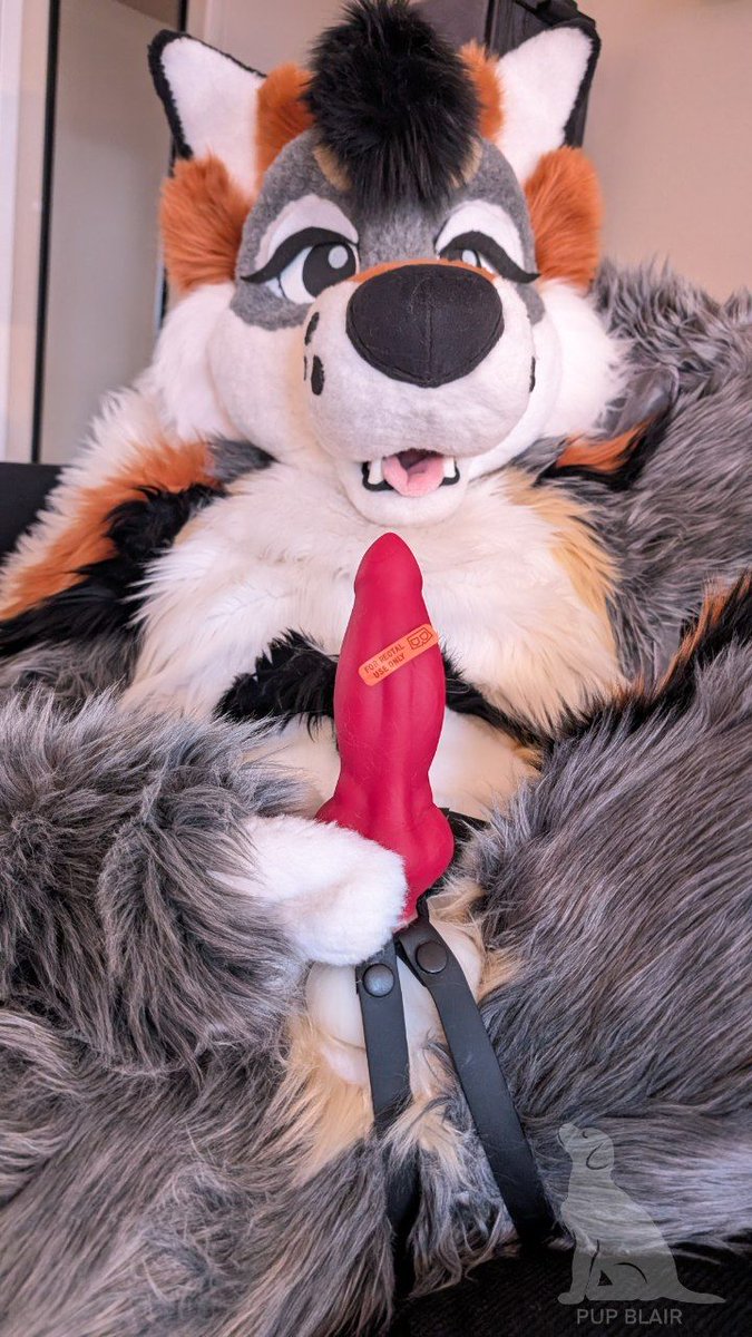 Found some cute stickers :3c 

📸: <a href="/Wolf_Mischief/">Deus Lobo</a>