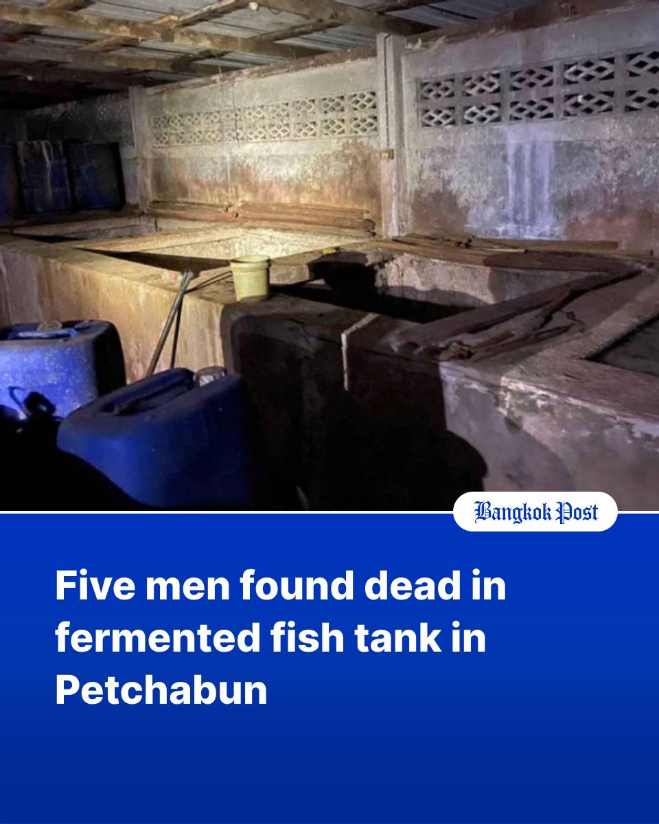 BangkokPostNews's tweet photo. Five men were found dead in a fish fermentation tank at a fermented fish plant in Lom Sak district of this northern Thai province on Monday evening.
Listen to the story or get the full story in the 1st comment.
#fermentationtank #fermented #phetchabun #ปลาร้า #โรงงานปลาร้า https://t.co/di64TxXner