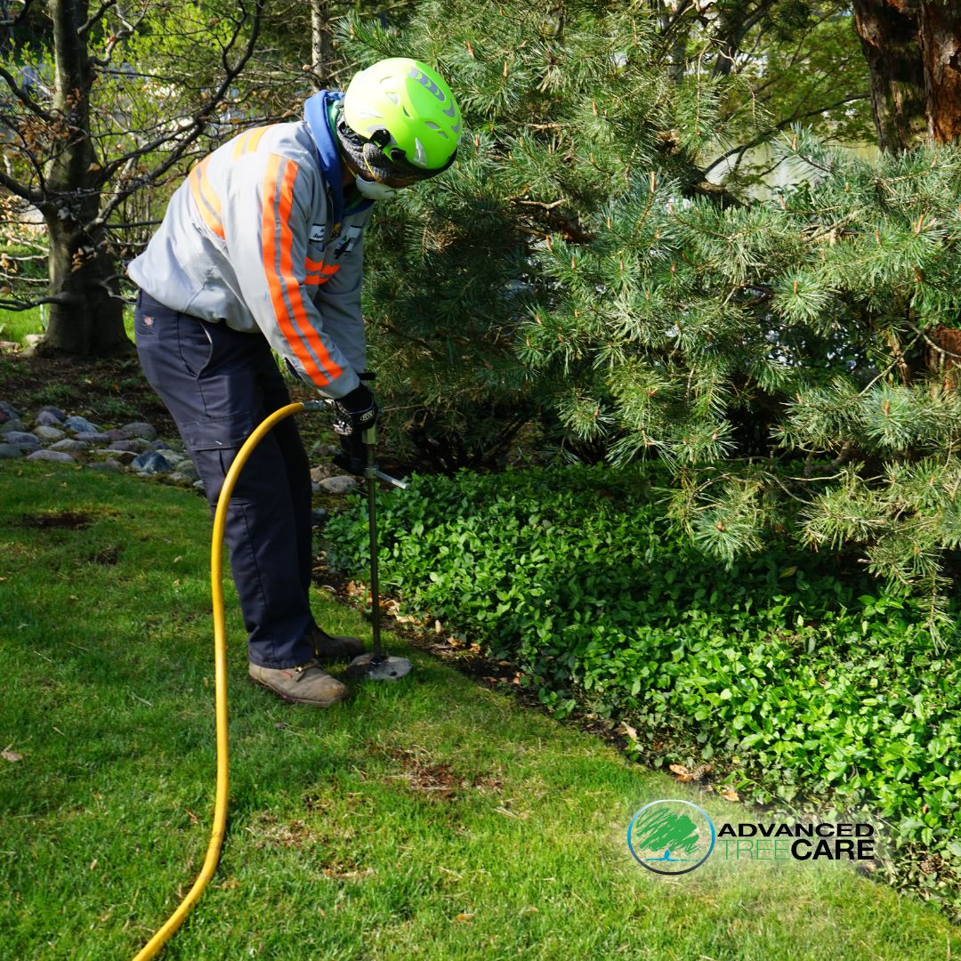 AdvancedTree1's tweet photo. Our customized plant health care plans provide essential nutrients while safeguarding your plants from pests and disease. 🌱✨ 

Let’s help your garden flourish!

Learn more: https://t.co/04UTzRTYep

#AdvancedTreeCare #TreeCare #TopTreeCare #TreeService #TreeRemovalService https://t.co/UhkxqpeKoq