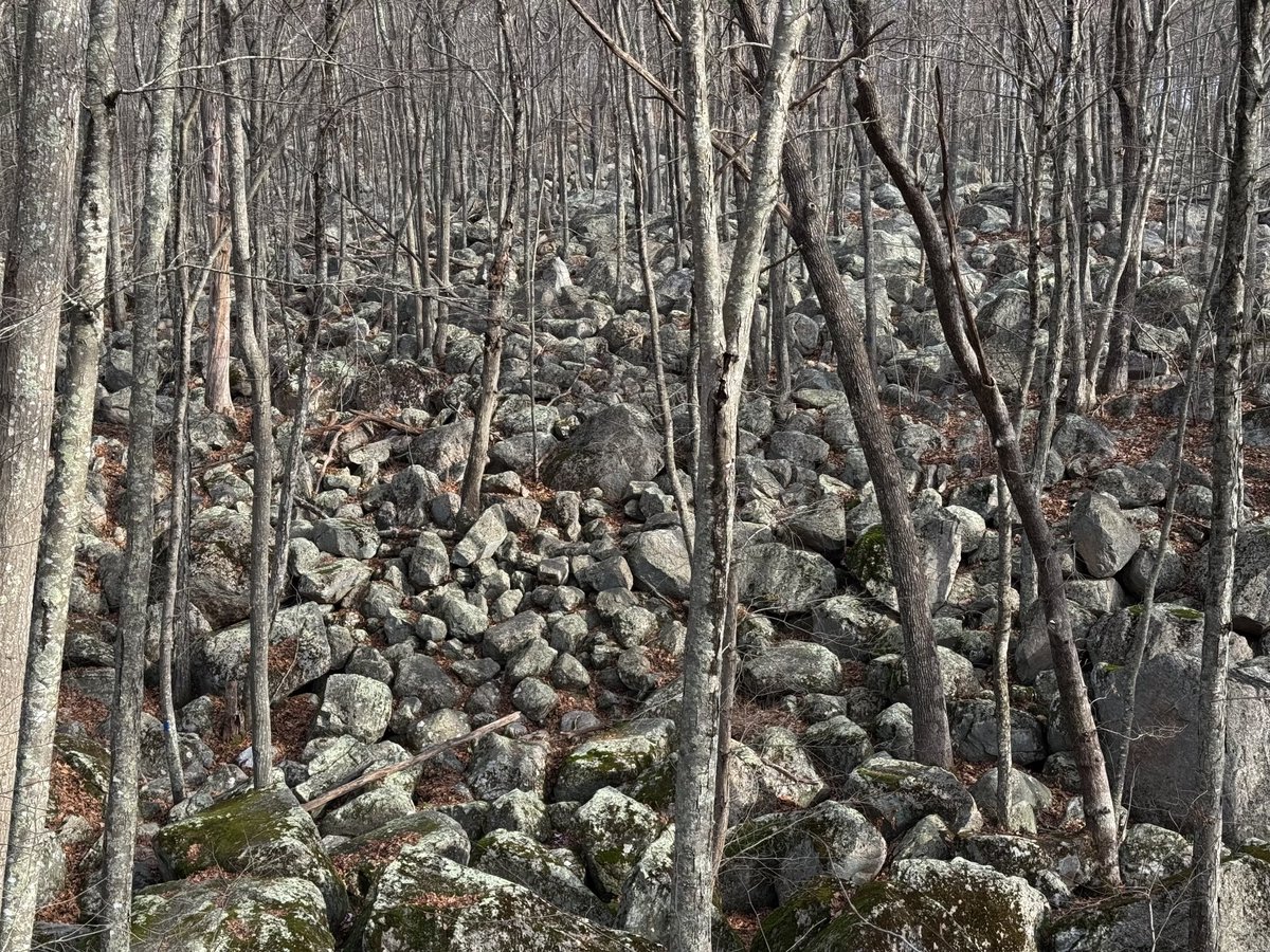 petermarteka's tweet photo. Hiking the Boulder Train is one of my all-time favorite trail experiences in Connecticut. Been too long between visits.
#Ledyard https://t.co/BRYjoQf4wu
