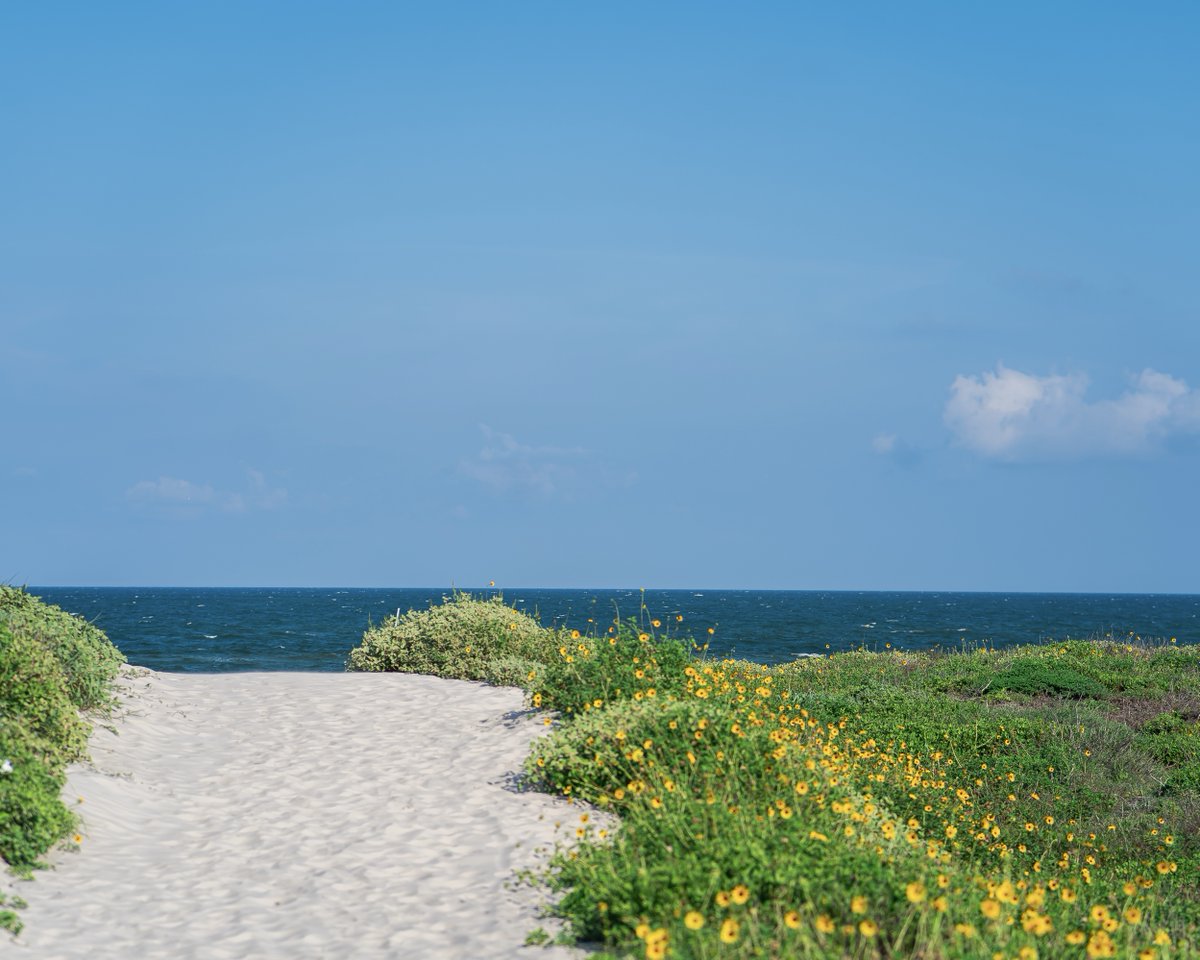 Corpus Christi, Texas tweet media