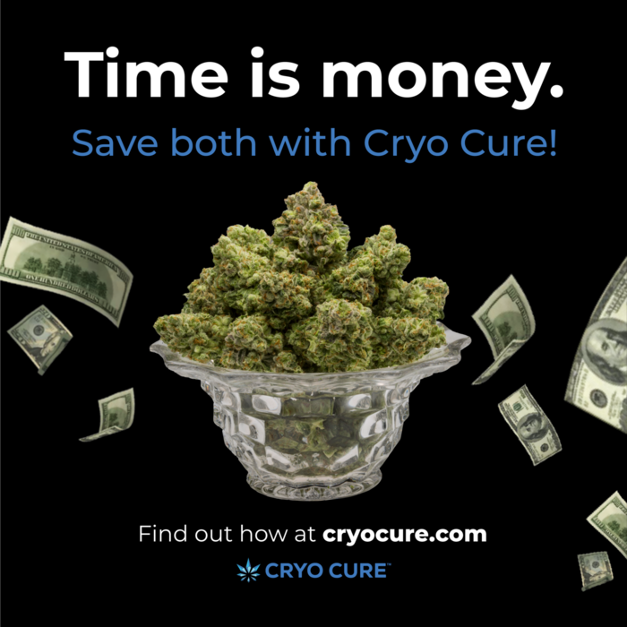 cannatechtoday's tweet photo. Save time and money drying your harvest by using Cryo Cure machines! Cryo Cure's patented tech is pre-programmed to optimize moisture content while maintaining terpenes.
Learn more at https://t.co/JyUxj94CCi
#cannatech #cryocure #innovation #technology #industrialmachines https://t.co/ms8zxbAglb