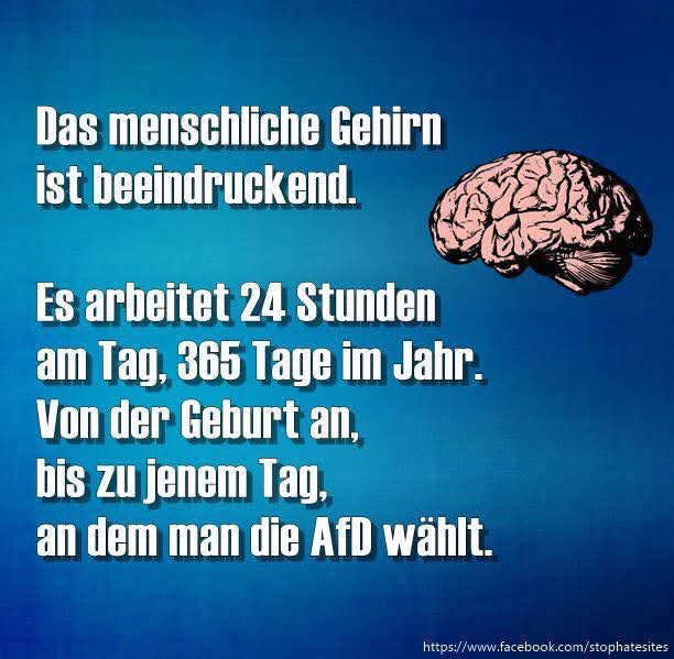 #noafd #nonazi #niewiederistjetzt