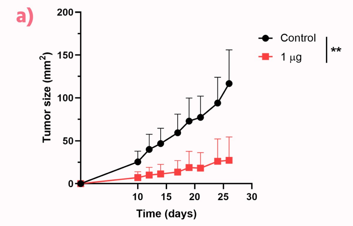 Jesús Sánchez Ruiz tweet media