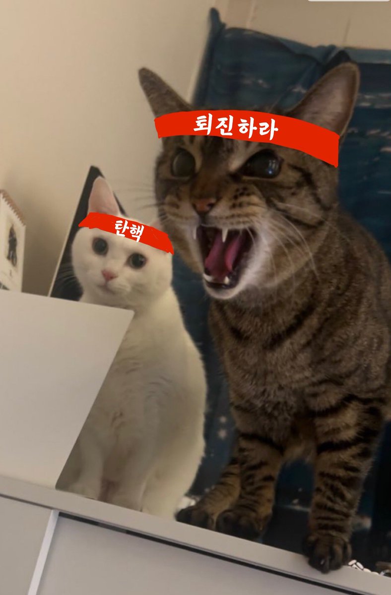 ZIandHUYA's tweet photo. 수입 사료값 어쩔꺼냐고!!!!!!!!!!!!! https://t.co/GCVOSZJXqV