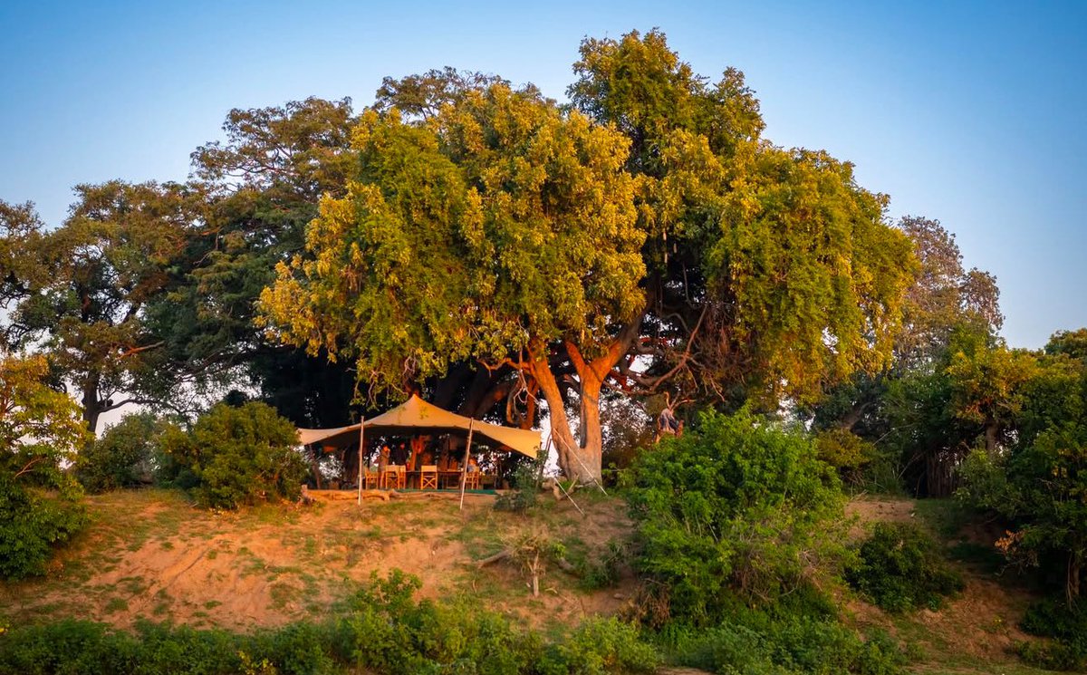 ZimBho_Official's tweet photo. What would the perfect holiday in #DestinationZimbabwe look like to you?
Here’s ours!😍
#VisitZimbabwe
#TravelandExperienceZim
#ZimBho
📸: @gonarezhoupark https://t.co/VfogbKcKsp