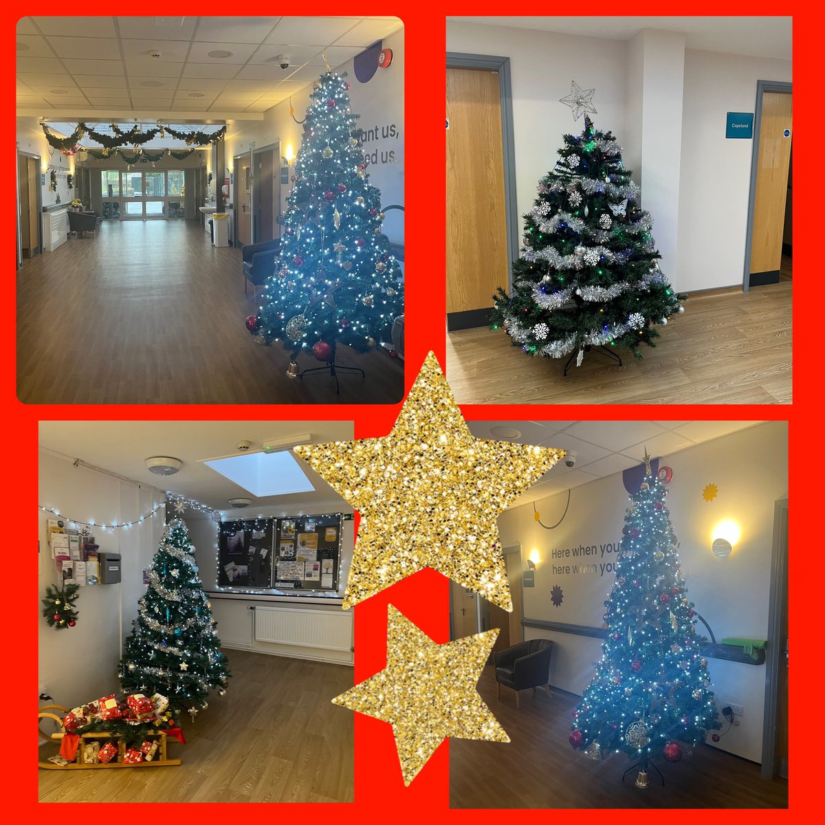 marks_kath's tweet photo. IPS looking lovely and Festive for our patients. 🎄🧑🏻‍🎄 https://t.co/Gf5lu9VhL6