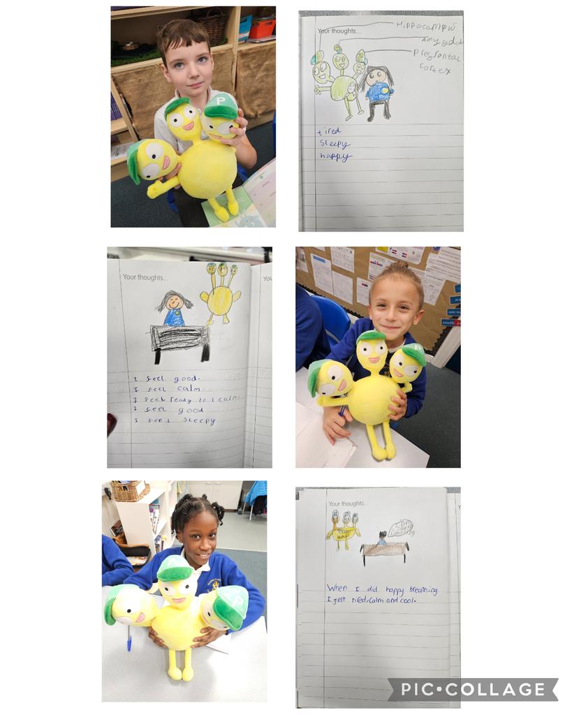stjosephskly's tweet photo. Rowan Class have been learning all about the Amygdala. We learnt that   when they Amygdala takes over, we need to do some Happy Breathing to calm down and release the oxygen back to our bodies 🧠🧠.#SJKpshe @myHappymind_ #RowanClass https://t.co/7wGZE3pFaM