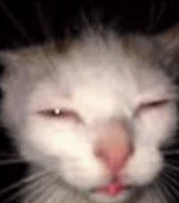 ItsNotSeabass tweet media