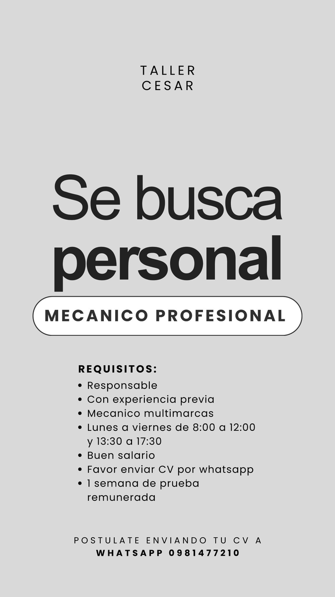 Radh1ka_'s tweet photo. Oferta laboral para MECÁNICO PROFESIONAL. https://t.co/12xYcf6BM9