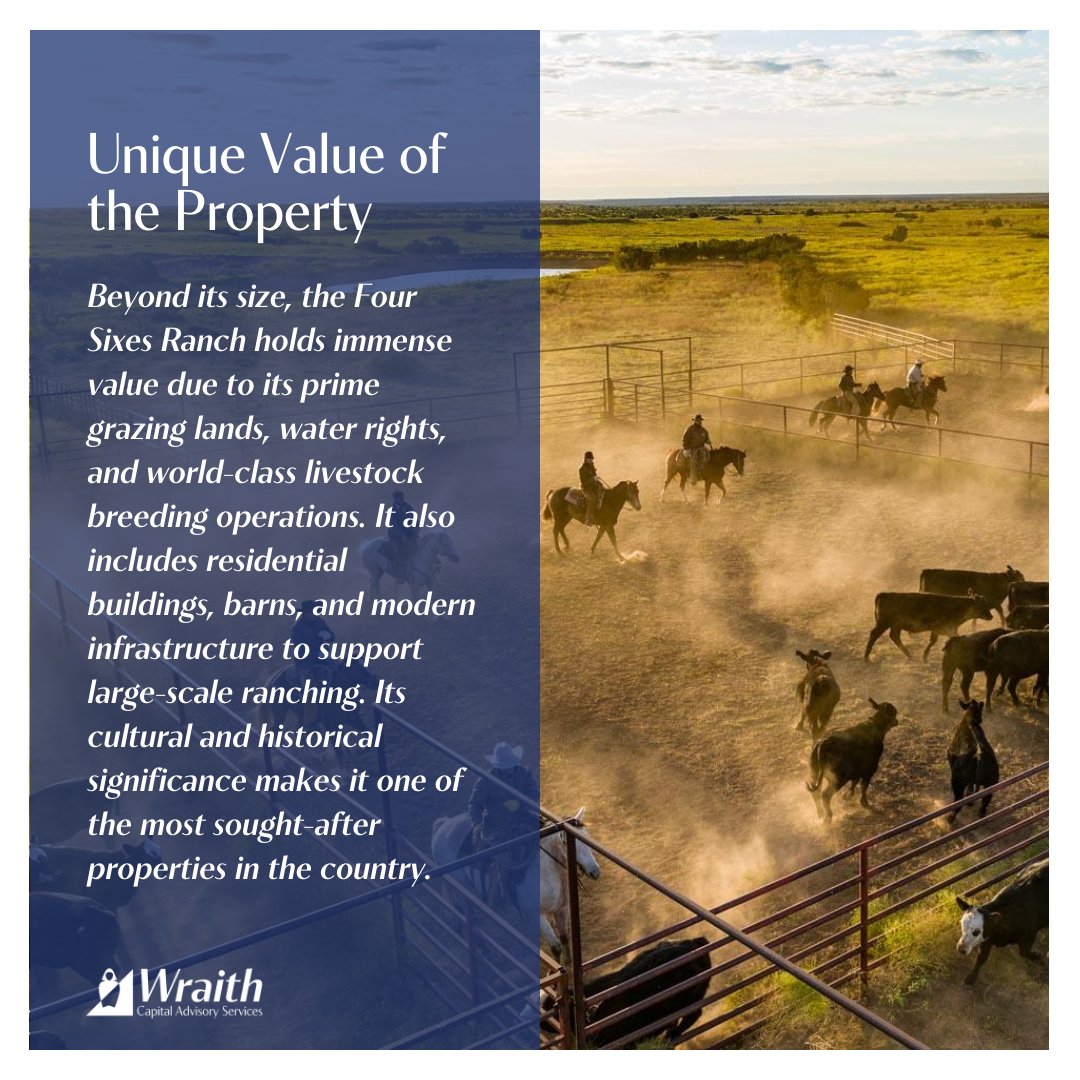 Wraith Advisory tweet media