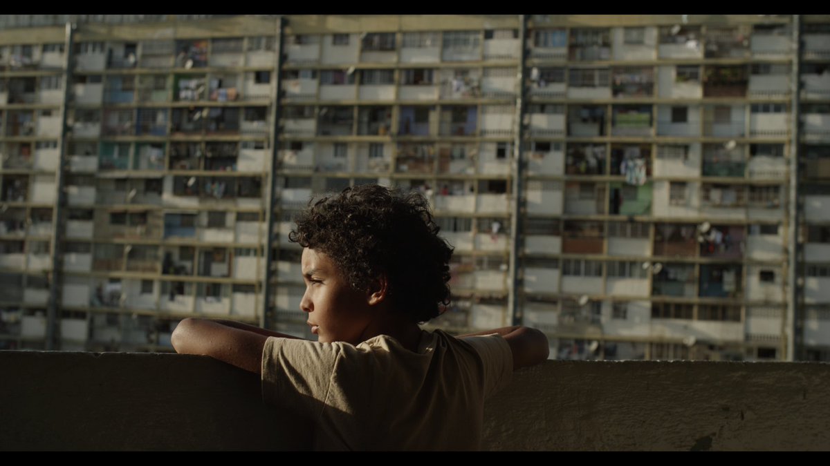 / CINÉCLUB PARIS 8/
📅 Mercredi 11 décembre à 12h30
🎥 Projection : Pelo Malo de Mariana Rondón (2013)

Synopsis : À Caracas, Junior, 9 ans, rêve d’avoir les cheveux lisses, déclenchant une vague d’homophobie autour de lui.

📍 salle A1-181
✨ Entrée libre et gratuite