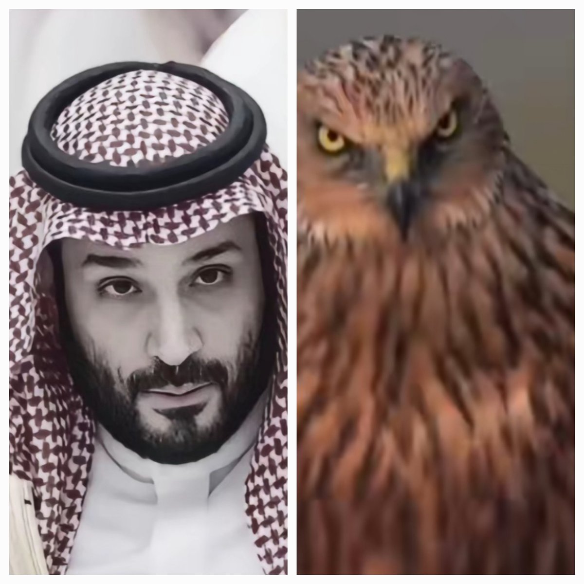 ayadgarni's tweet photo. السعوديه العظمى https://t.co/kRwFSUX574