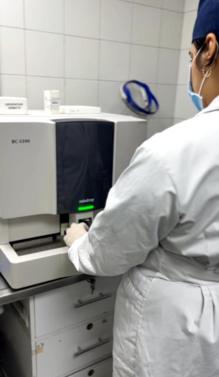 IsabuBga tweet media