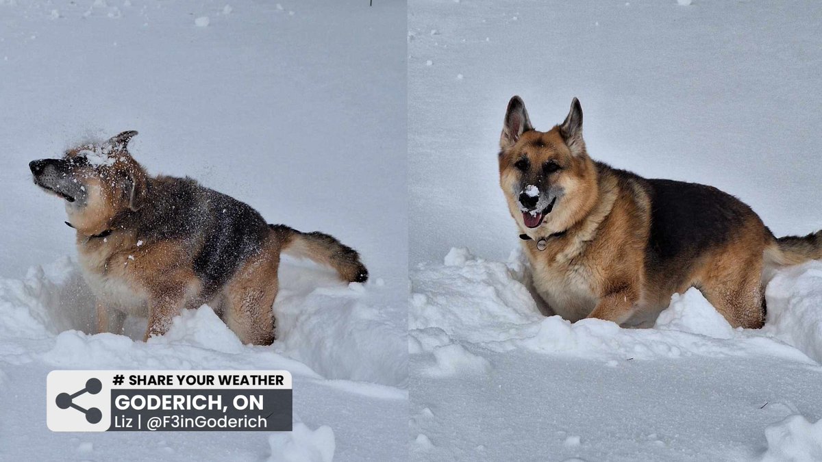 Chris Murphy TWN tweet media