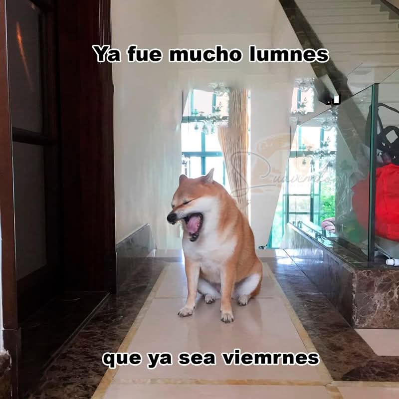 En Júpiter (@en_jupiter_) on Twitter photo 