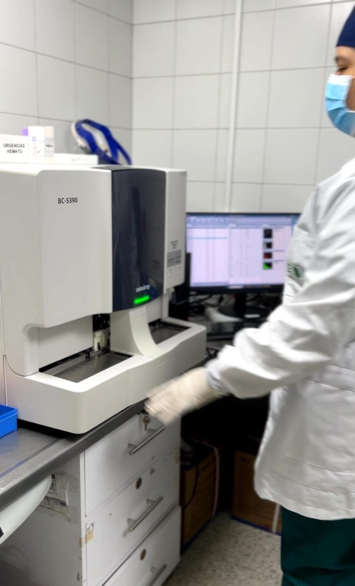 IsabuBga tweet media