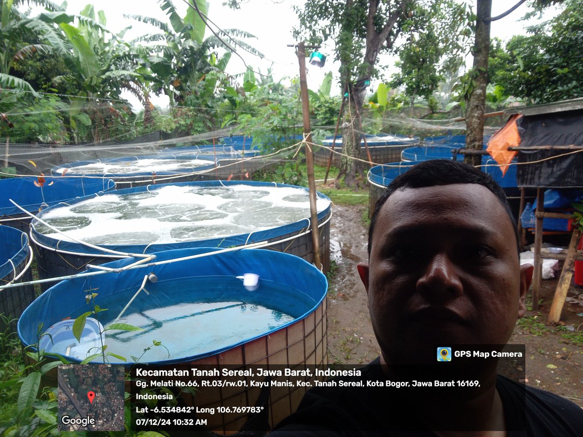 MPatekkai's tweet photo. Sabtu (7/12), Patekkai, Luhkan Kota Bogor, anjangsana dan pendampingan teknis Budidaya Nila Bioflok Sipanen di Pokdakan Al Ma'arij Berkah Farm Kel. Kayu Manis Kec. Tanah Sareal #GiatLuhkanSatminkalBogor #aktivitas @pusluh_bppsdm @brpbatpp_bogor @bppsdm_kp https://t.co/YLxtHWo3se
