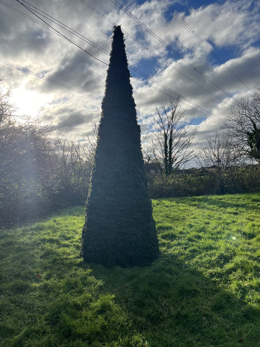 A cold but lovely walk at lunchtime today.