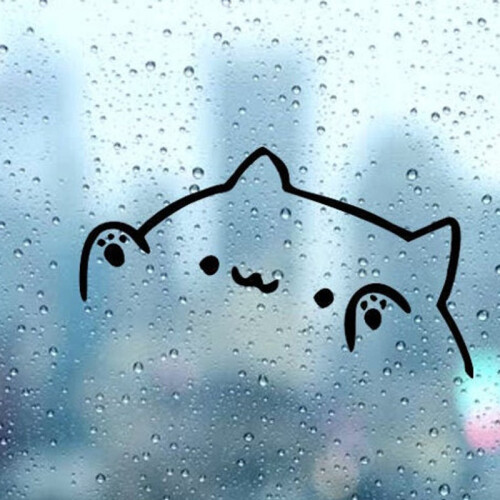 TheBongoCat's tweet photo. Look at your window right now... bongo is there 😼 https://t.co/ElJpgmeU39