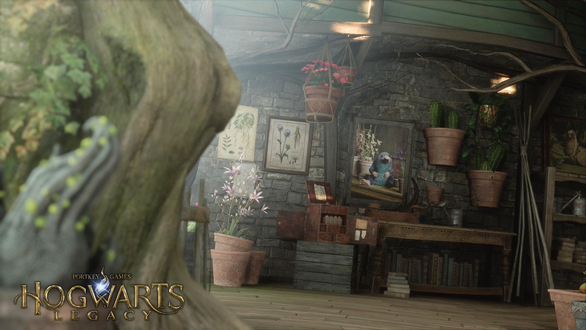 photomodegame's tweet photo. ドッグウィード・アンド・デスキャンプ
#HogwartsLegacy
#ホグワーツ・レガシー https://t.co/Qbyy3fq2Wf
