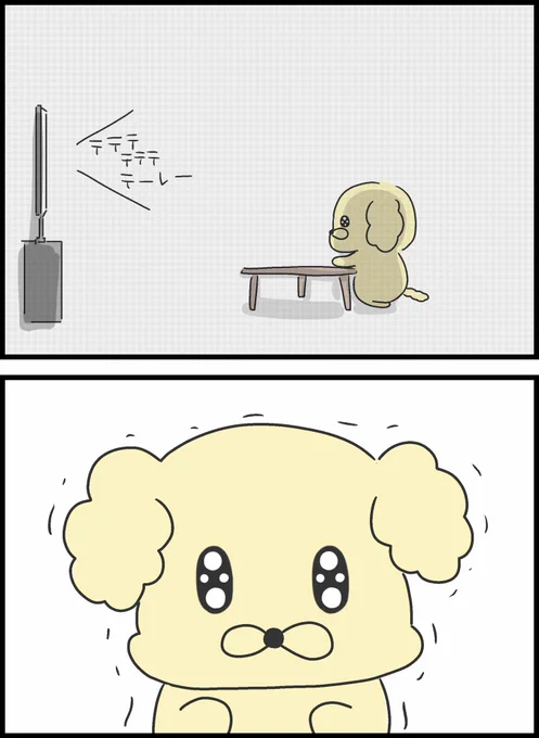 2/8 