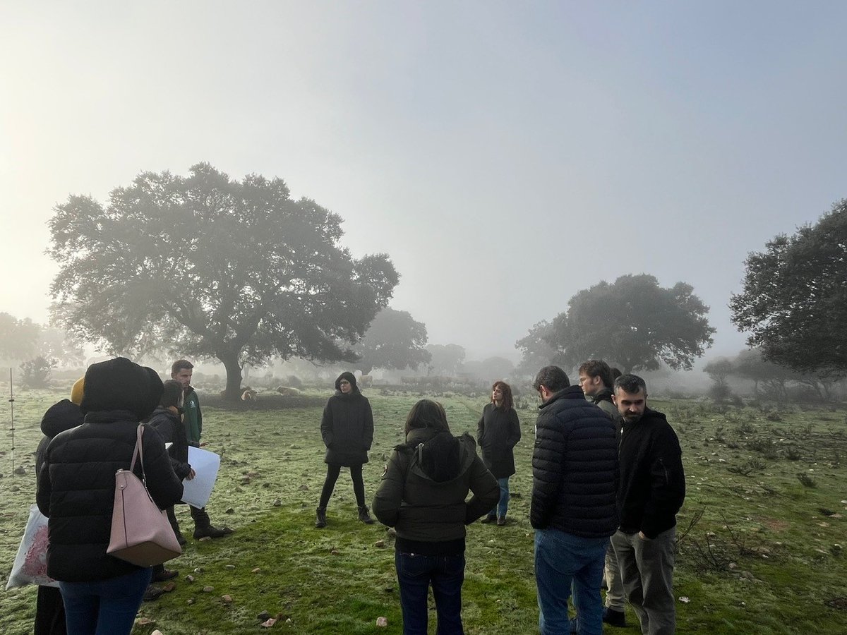 InBestSoil1's tweet photo. 🗓️Throwback to #DehesasDays🌱
Two weeks ago, a group of InBestSoil partners gathered in Cáceres for impactful co-creation activities at the stunning📌El Baldío de Talaván.
🙌 Special thanks to the @zabala_eu, #ACTYVA and @FGlobalNature! 🙌
#Innovation #SustainableDevelopment https://t.co/0xx5BMWTcI