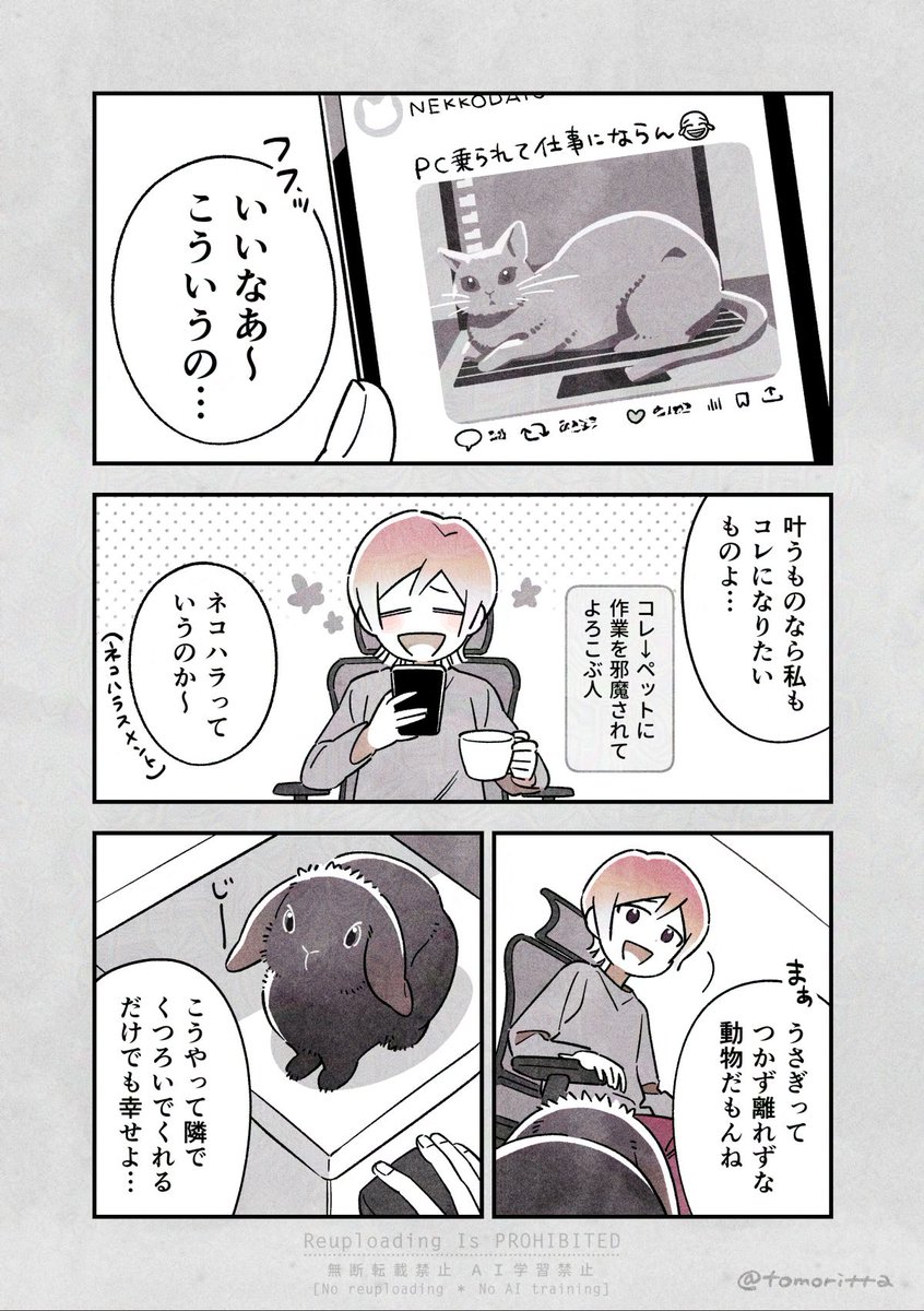 邪魔されたい人間と邪魔されたくないうさぎ

#うさぎがいる暮らし
#漫画が読めるハッシュタグ 
