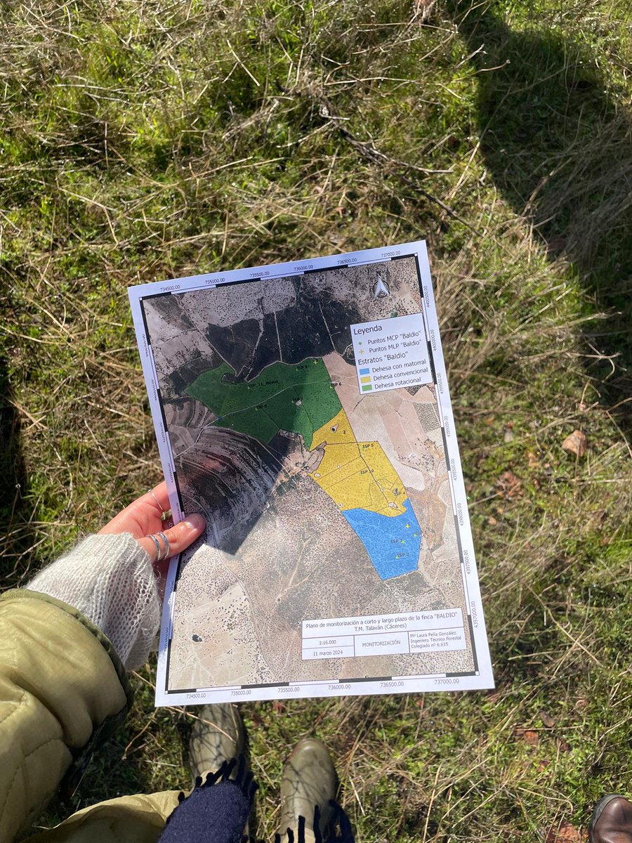 InBestSoil1's tweet photo. 🗓️Throwback to #DehesasDays🌱
Two weeks ago, a group of InBestSoil partners gathered in Cáceres for impactful co-creation activities at the stunning📌El Baldío de Talaván.
🙌 Special thanks to the @zabala_eu, #ACTYVA and @FGlobalNature! 🙌
#Innovation #SustainableDevelopment https://t.co/0xx5BMWTcI