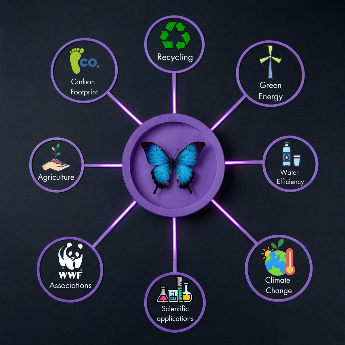 What is the role of Butterfly Technology in the Crypto world?🖥️🌎

#Crypto #TechInnovation #development