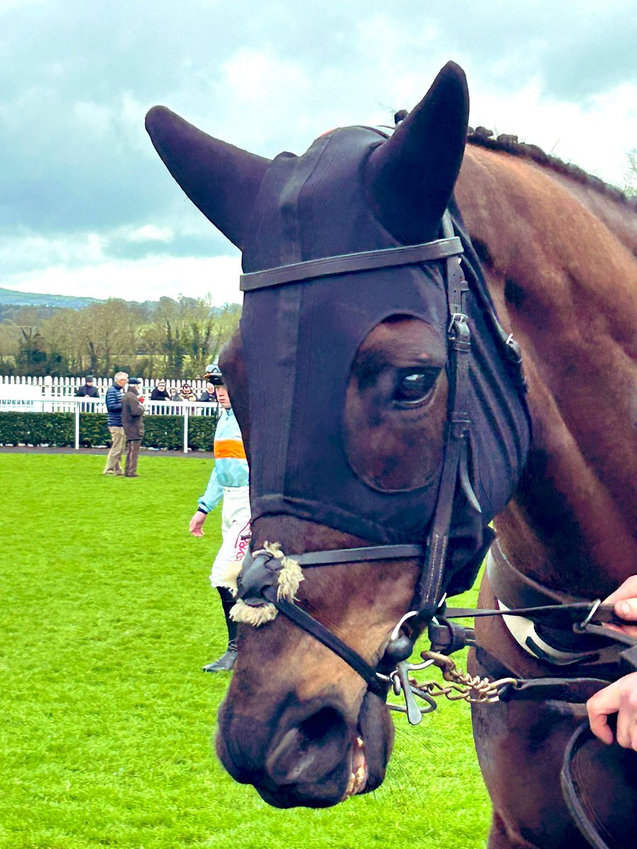 Dawnesme's tweet photo. Rest easy beautiful one 🤍🤍

Deepest condolences to Cheveley Park &amp; everyone at the Willie Mullins yard.

Thank you Ferny Hollow 💙🤍❤️ https://t.co/TKGGy7RUSZ