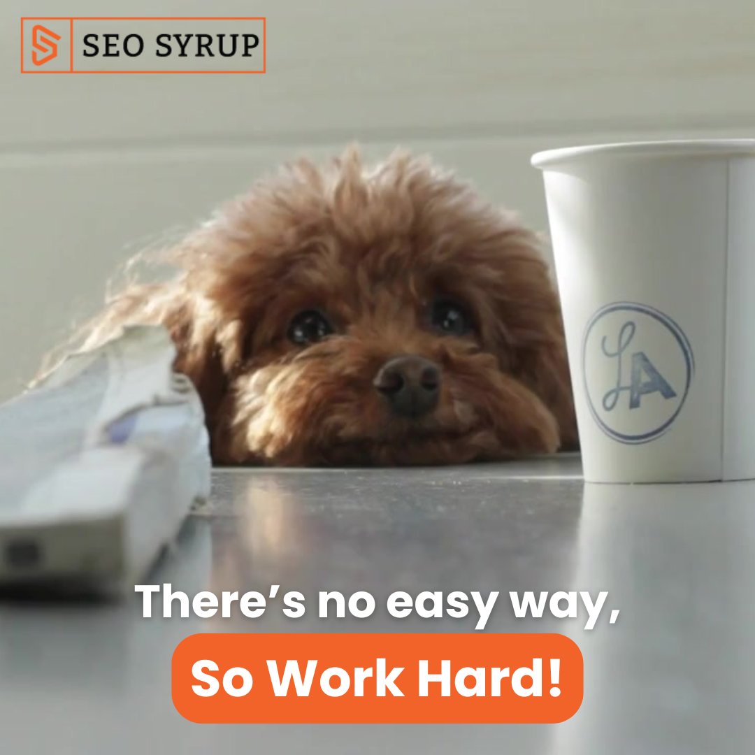 SeoSyrup's tweet photo. Rank your website on Google in 7 days 🚀
-
-
-
-
-
-
-
-
-
-
-
-
-
-
- 
There’s no shortcut. So WORK HARD! 😁 

📞0203 924 2300
📧hello@seosyrup.co.uk
🌐https://t.co/xmiUFIfAbj

#SEOMemes #DailyMemes #NoShortcuts #WorkHard #DigitalMarketing #SEO #SEOstrategy #SEOExperts https://t.co/qnl3DJXilp